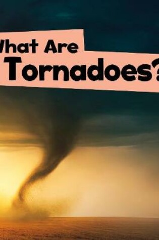 Cover of What Are Tornadoes?