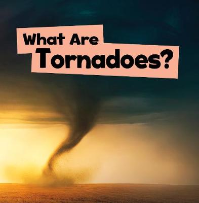 Book cover for What Are Tornadoes?