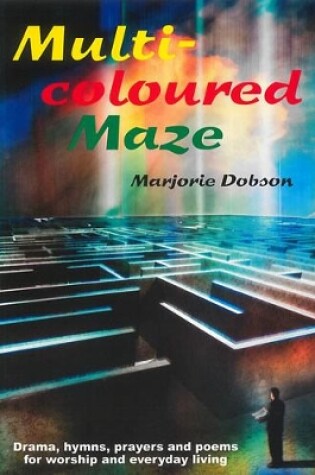 Cover of Multi-Coloured Maze