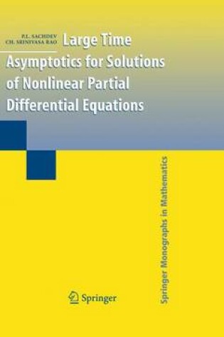 Cover of Large Time Asymptotics for Solutions of Nonlinear Partial Differential Equations