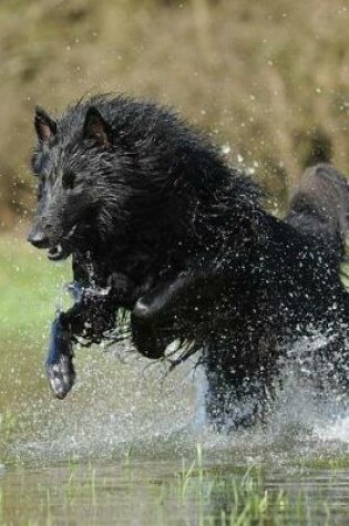 Cover of Belgian Shepherd Dog Groenendael Playing in the Water Journal