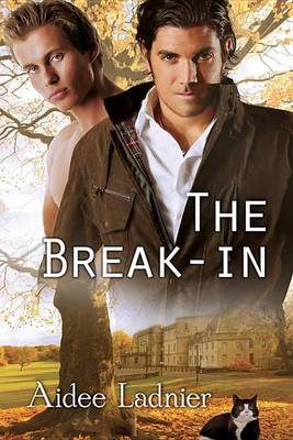 Book cover for The Break-In