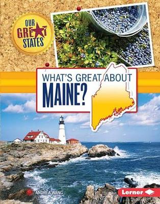 Cover of What's Great about Maine?