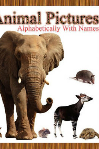 Cover of Animal Pictures Alphabetically with Names