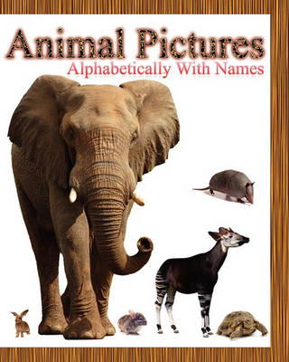 Book cover for Animal Pictures Alphabetically with Names