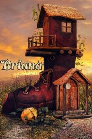 Cover of Briana