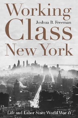 Book cover for Working-Class New York