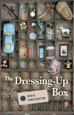 Book cover for The Dressing-Up Box