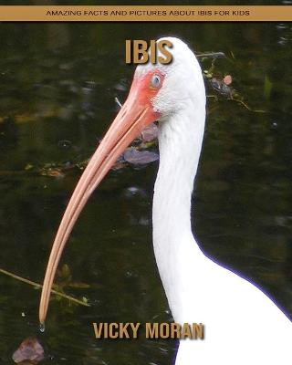 Book cover for Ibis