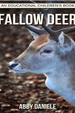 Cover of Fallow Deer! An Educational Children's Book about Fallow Deer with Fun Facts & Photos