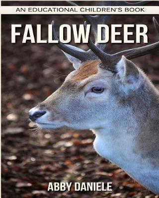 Book cover for Fallow Deer! An Educational Children's Book about Fallow Deer with Fun Facts & Photos