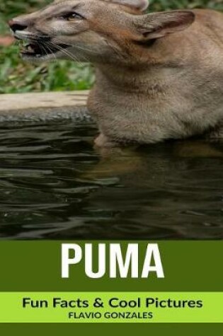 Cover of Puma