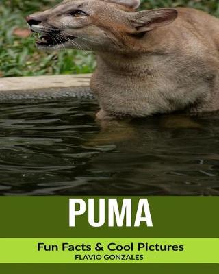 Book cover for Puma