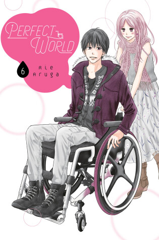 Cover of Perfect World 6