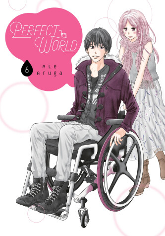 Cover of Perfect World 6