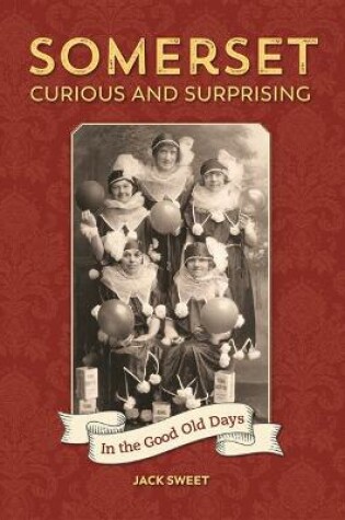 Cover of Somerset Curious and Surprising