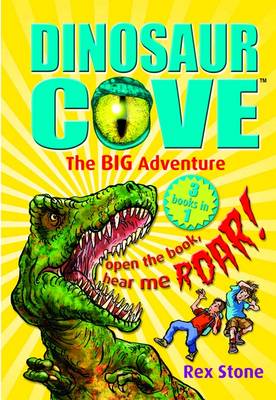 Book cover for The Big Adventure