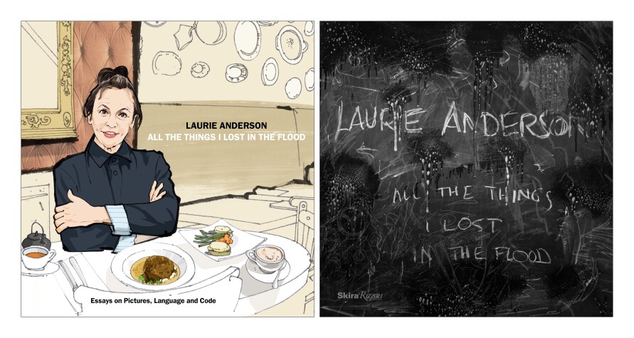 Book cover for Laurie Anderson