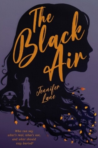 Cover of The Black Air