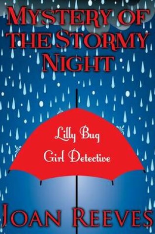 Cover of Mystery of the Stormy Night