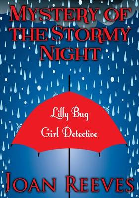 Cover of Mystery of the Stormy Night