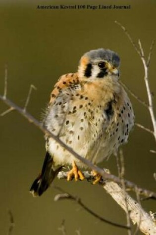 Cover of American Kestrel 100 Page Lined Journal