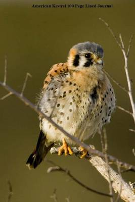 Book cover for American Kestrel 100 Page Lined Journal