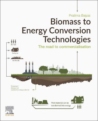 Book cover for Biomass to Energy Conversion Technologies