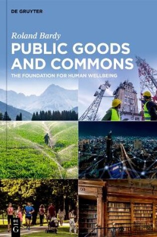 Cover of Public Goods and Commons