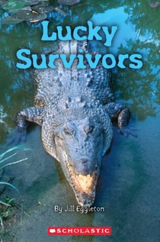 Cover of Lucky Survivors