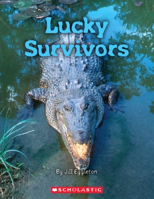 Book cover for Lucky Survivors