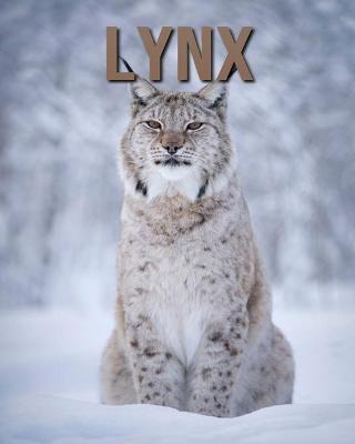 Book cover for Lynx