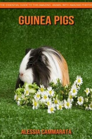 Cover of Guinea pigs