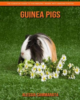 Book cover for Guinea pigs