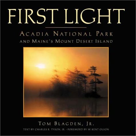 Book cover for First Light