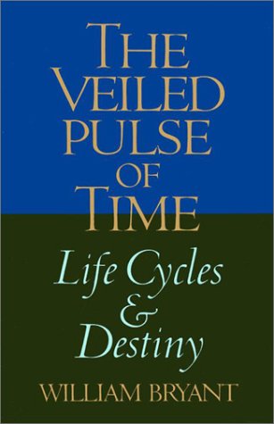 Book cover for The Veiled Pulse of Time