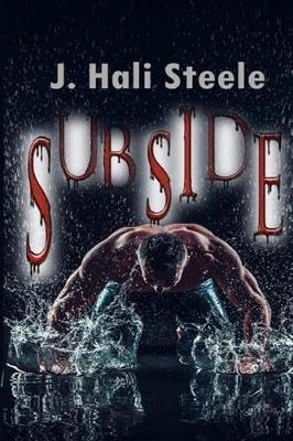 Book cover for Subside