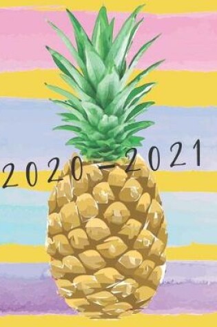 Cover of 2020-2021 2 Year Planner Pineapple Monthly Calendar Goals Agenda Schedule Organizer