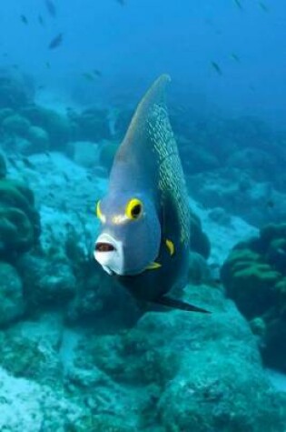 Cover of Tropical Angel Fish Journal