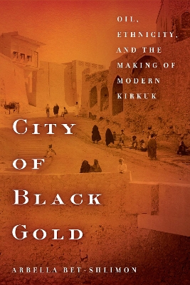 Cover of City of Black Gold