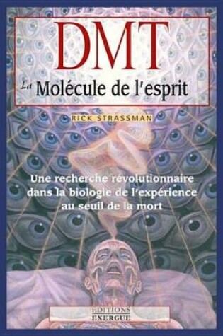 Cover of Dmt, La Molecule de L'Esprit