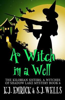 Book cover for A Witch in a Well