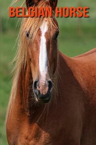 Cover of Belgian Horse