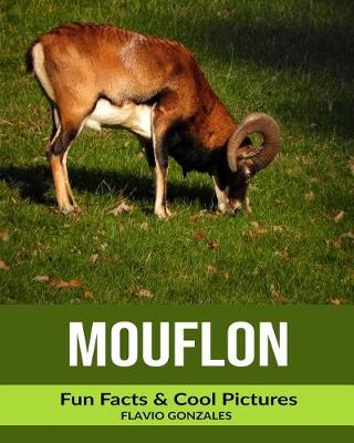 Book cover for Mouflon