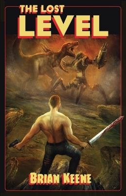 Book cover for The Lost Level