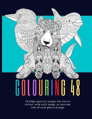 Book cover for Colouring 48