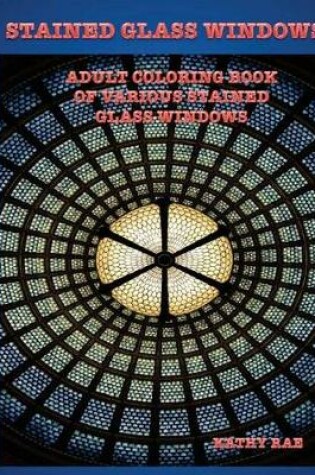 Cover of Stained Glass Windows