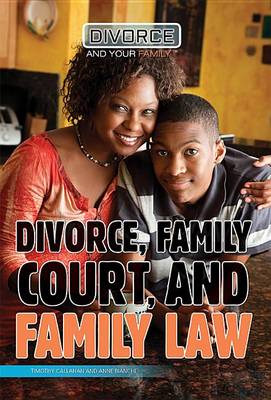 Book cover for Divorce, Family Court, and Family Law