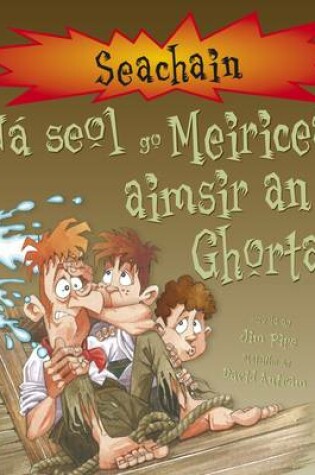Cover of Na Seol Go Meiricea Aimsir an Ghorta