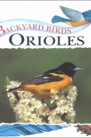 Cover of Orioles